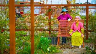 Japanese Countryside Vlog: My Mom and Grandma Enjoying the Spring Garden