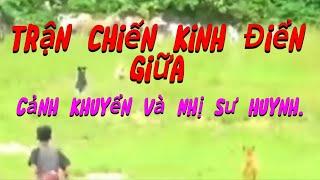 Thế Giới Động Vật.Trận Chiến kinh Điển  Của Nhị Sư Huynh Và Cảnh Khuyển.