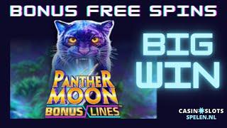 Panther Moon: Bonus Lines | bonus free spins (BIG WIN!)