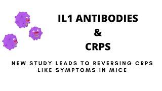 IL1 ANTIBODIES & CRPS - STUDY LEADS TO POSSIBLE NEW TREATMENT