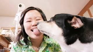 Tongue of my dog is licking me continuously