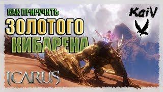 Icarus. Как приручить Золотого Кибарена.