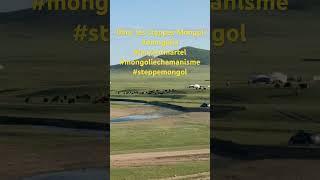 Dans les steppes Mongoles #mongolia #laurentmartel #mongoliechamanisme #steppemongol