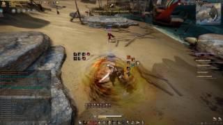 Black Desert | PVP | Warrior 59 vs Ninja 60