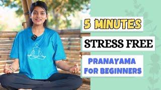 5 minutes stress free Pranayama | Step by Step Pranayama for beginners | how to start pranayama