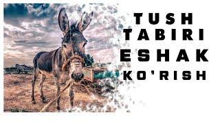 Tushda Eshak Ko'rish Tabiri