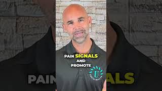 Powerful Tools for Nerve Healing | Dr. Ole Olson, Asuta Health