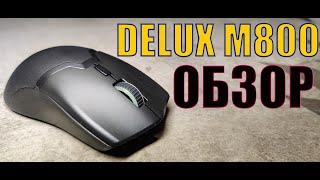 ОБЗОР DELUX M800 WIRELESS - ВСЁ ЕЩЕ ХОРОША! (РОЗЫГРЫШЬ!)