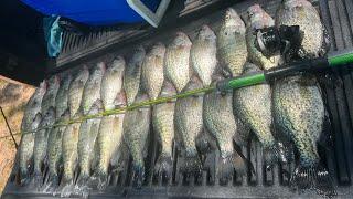 How To Catch LIMITS Of CRAPPIE In The Summer | Summer CRAPPIE Fishing 2023‼️