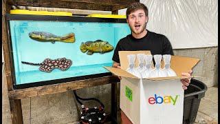 Buying EXPENSIVE Live Fish from EBAY! ($500)