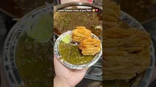 Delhi’s Famous Japani Samosa️ at just ₹50/- #shorts #samosa #indianstreetfood