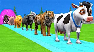 Paint & Animals Cow,Gorilla,Elephant,Lion,Tiger,Dinosaur, Fountain Crossing Transformation Cartoon