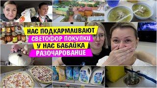РАЗОЧАРОВАНИЕ сервис ХУЖЕ НЕКУДА / Нас ПОДКАРМЛИВАЮТ / СВЕТОФОР покупки /  Переезд в Тюмень  Siberia