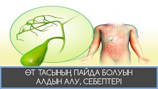 ӨТ ТАСЫ, ПАЙДА БОЛУ СЕБЕПТЕРІ, АЛДЫН АЛУ ЖАТТЫҒУЛАРЫ!!!