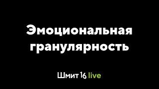 Шмит16 Live. Эмоциональная гранулярность