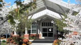 Checkered Flag Gives Back- Local Auto Group Makes a Difference