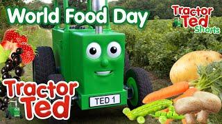 Food On The Farm | Tractor Ted World Food Day   | Tractor Ted Official Channel #WorldFoodDay