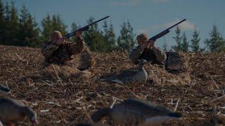 Goose hunting in Belarus.  Adrenaline and excitement !!!