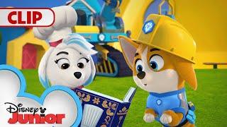 Pizza Time  | Pupstruction | @disneyjr​