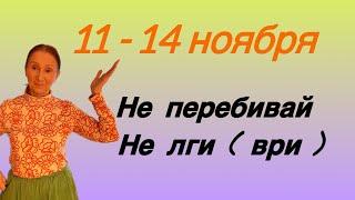  11 - 14 ноября  Не перебивай Не лги…..