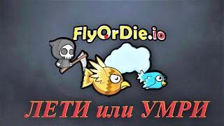 Fly or Die.io - от мухи до смерти один шаг