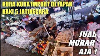 BANYAK KURA IMPORT MURAH ‼️ UPDATE HARGA TERBARU KURA KURA TERMURAH RUDY PASAR IKAN HIAS JATINEGARA