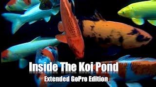 Inside The Koi Pond with Relaxing Music - GoPro Edition