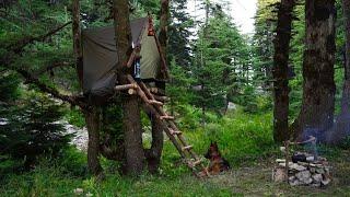 Building Complete and Safe Survival Shelter - Bushcraft Camping in the Wilderness with My Dog