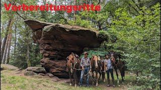 Vorbereitung und Bergtraining für Auri im Pfälzerwald | Wanderreiten