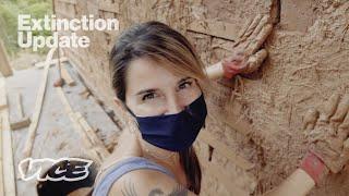 Architects Are Using Mud to Build Sustainable Homes