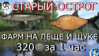 СТАРЫЙ ОСТРОГФАРМ НА ЛЕЩЕ И ЩУКЕ320 МОНЕТ ЗА 1 ЧАСРусская Рыбалка 4(РР4)