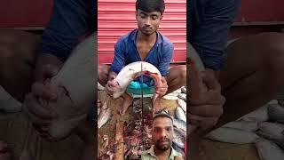 #fish #viral #bollywood #food #bollywood