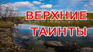 Верхние "Таинты"  оз.Шыбындыколь