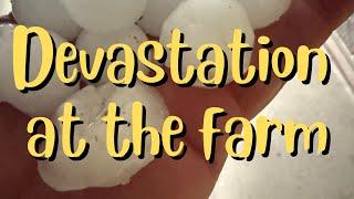 Freak Weather- Destroys Our Hard Work At The Farmhouse