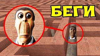 Realistic OBUNGA chases us in the maze NEXTBOT GMOD ► Garry's Mod