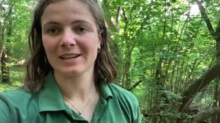 A tour of Folly Farm nature reserve from Avon Wildlife Trust