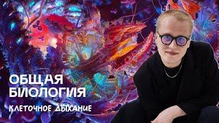 Биология ЦТ | Клеточное дыхание. Гликолиз | Ян Менделеев