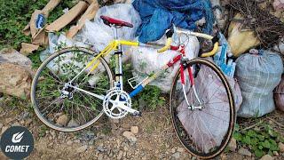 30 Year Old Italian Bicycle - Worth repairing?