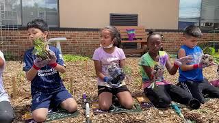 Empowering Kids- H.O.P.E. Gardens