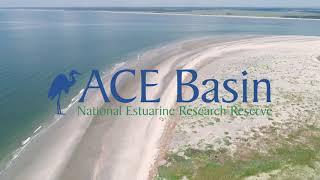 ACE Basin National Estuarine Research Reserve