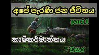 grade 7 history sinhala medium lesson 1| 7 වසර ඉතිහාසය-1 පාඩම| history grade 7 sinhala medium