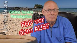 Das Versagen der FDP - mit Ansage