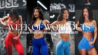 WEEK OF WORKOUTS | how i train, ELEVATE phase 2, my weekly split