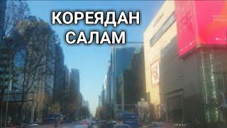 КОРЕЯДАГЫ КЫРГЫЗДАР КАНДАЙ ЖЕРДЕ ЖАШАШАТ? КОРЕЯДАН САЛАМ!