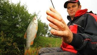 Steve Ringer's Skills School - How to catch 20lb of roach