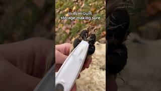 This is how to trim your dogs paws easier