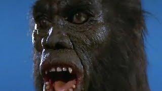 Brandon's Cult Movie Reviews: MIGHTY PEKING MAN