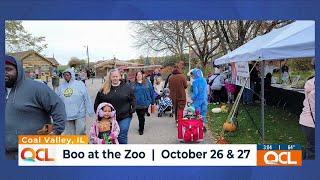 Niabi’s ‘Boo at The Zoo’, final day of 2024 season this weekend