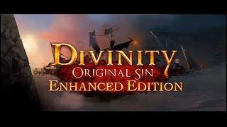 Divinity: Original Sin-my favorite phrase in game