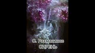 С. Рахманинов. "Сирень" (сл. Ек. Бекетовой). МИНУС.